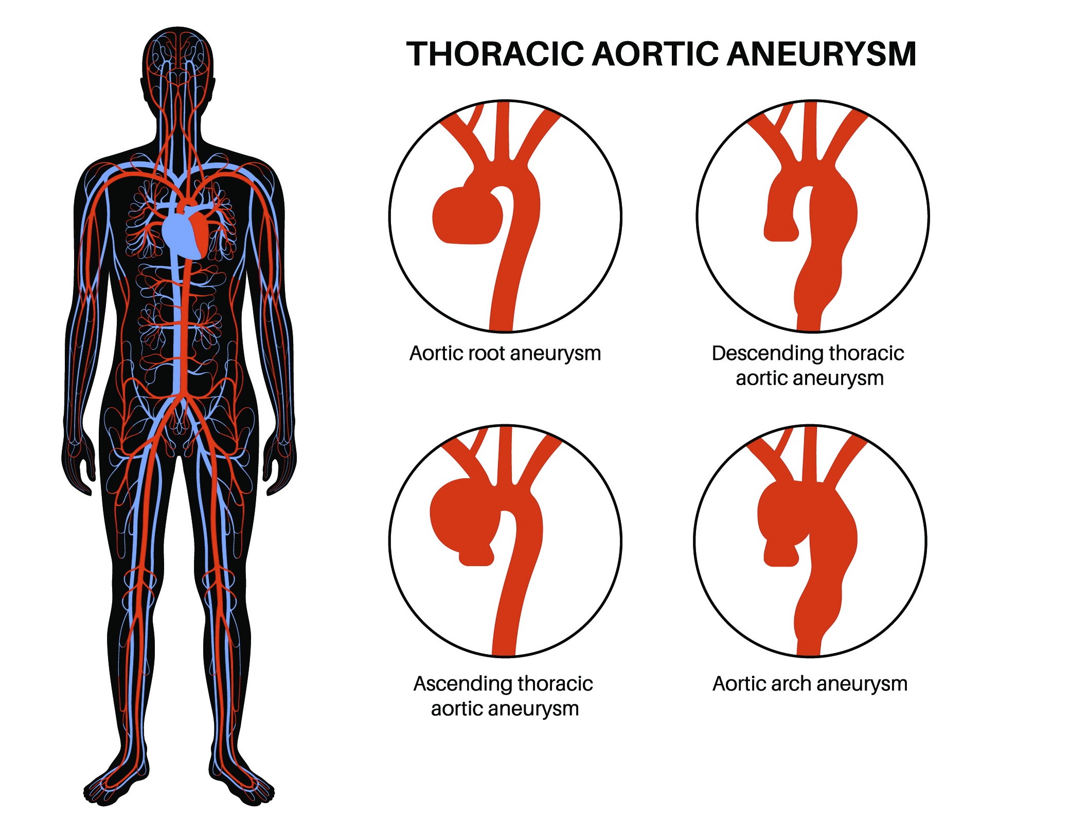 Ιωάννης Σαχμπαζίδης MD, MSc