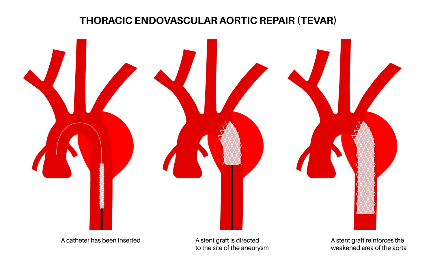 Ιωάννης Σαχμπαζίδης MD, MSc