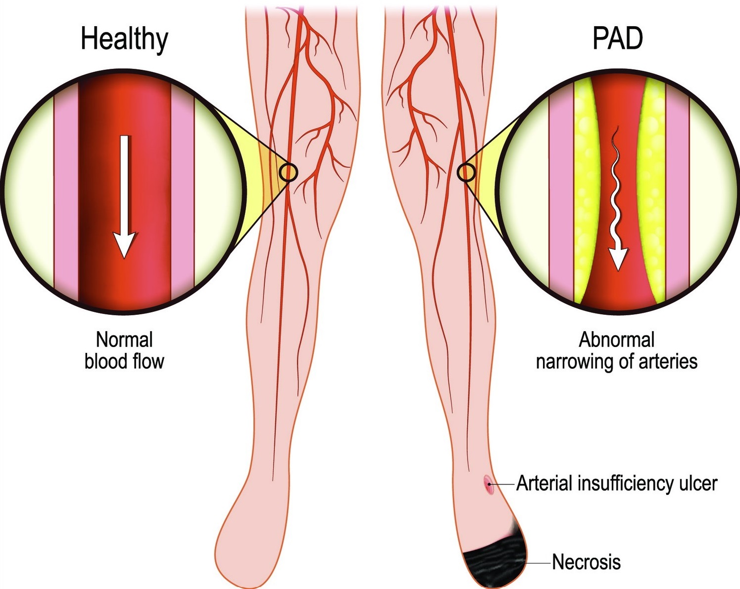 Ιωάννης Σαχμπαζίδης MD, MSc