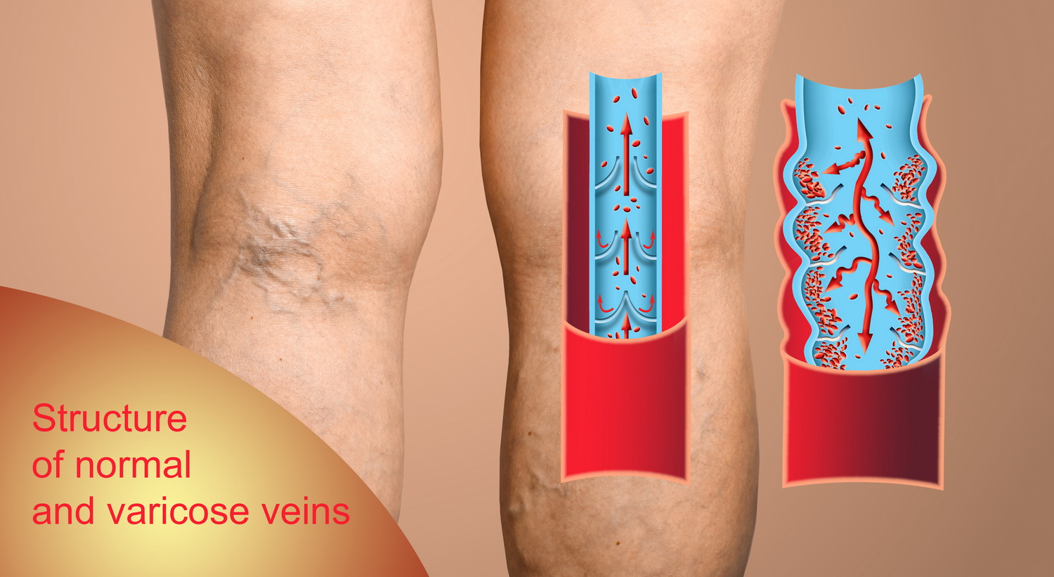 Ιωάννης Σαχμπαζίδης MD, MSc